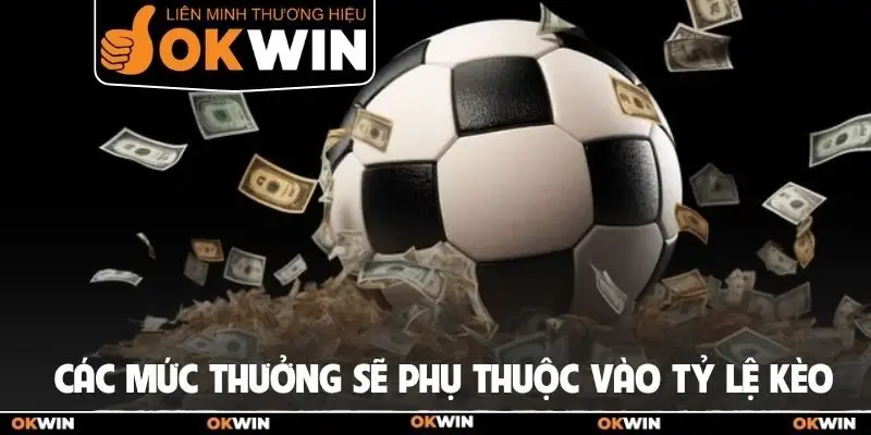 Kèo Chấp 3 Trái Là Gì? Cách Chơi Kèo HDP 3 Trái Chuẩn 2 Các mức thưởng sẽ phụ thuộc vào tỷ lệ kèo